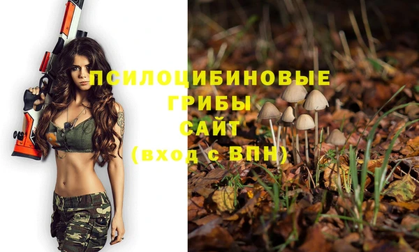 кокс Нея
