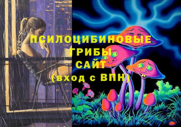 шишки Нефтекумск