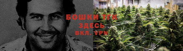 кокс Нея